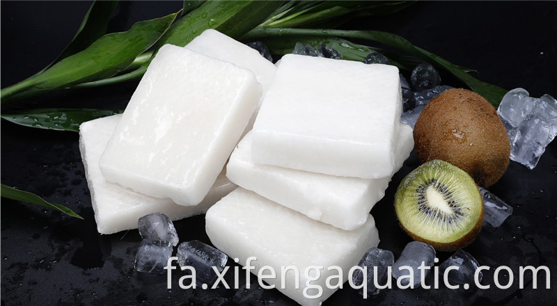 بلوک ماهی مرکب Squid Block